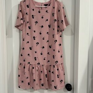 Ann Taylor Dress